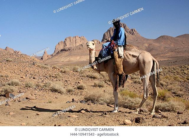 Algeria, Africa, north Africa, desert, stone desert, rocky desert, Sahara, Tamanrasset, Hoggar, Ahaggar, mountain, mountains, Tuareg, ride, camel, camels