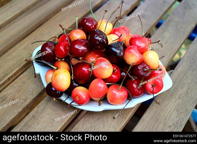 ripe sweet juicy cherries on a white dish close-up