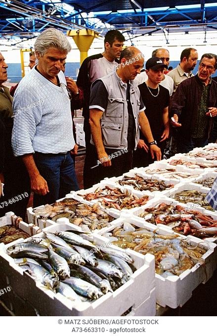 Mercato Ittico (Fish Market). Fish auction. Viareggio. Lucca province, Tuscany. Italy