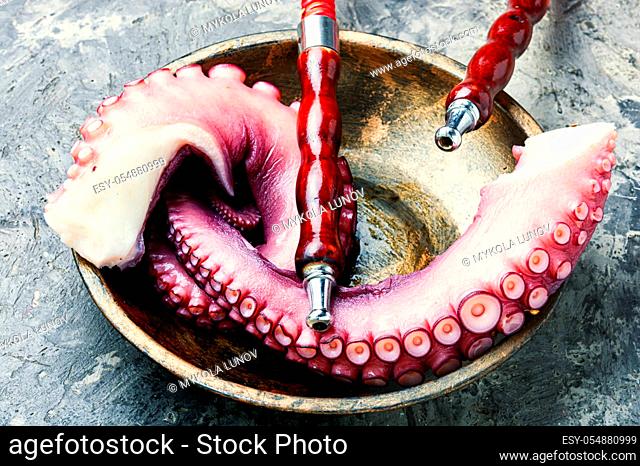 Details of hookah and smoking tobacco.Smoking hookah for relaxation.Octopus hookah tobacco
