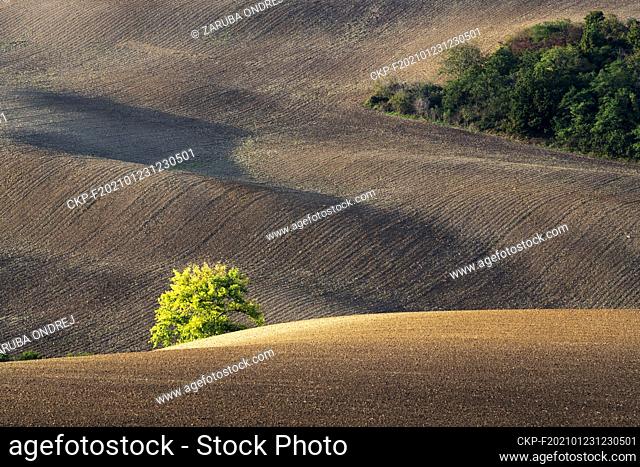 colours and shapes of fields in autumn (CTK Photo/Ondrej Zaruba)