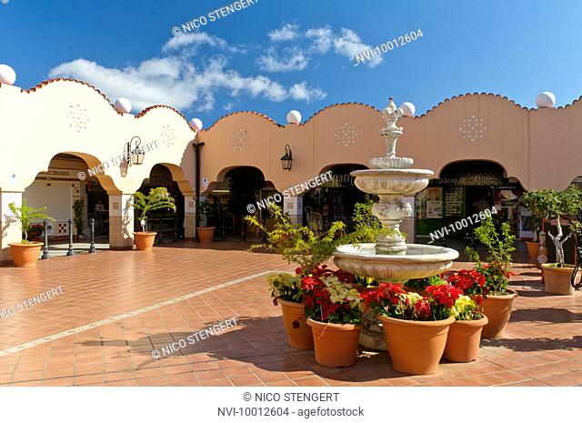 Mercado de Nuestra Senora de Africa, Santa Cruz de Tenerife, Tenerife, Canary Islands, Spain, Europe