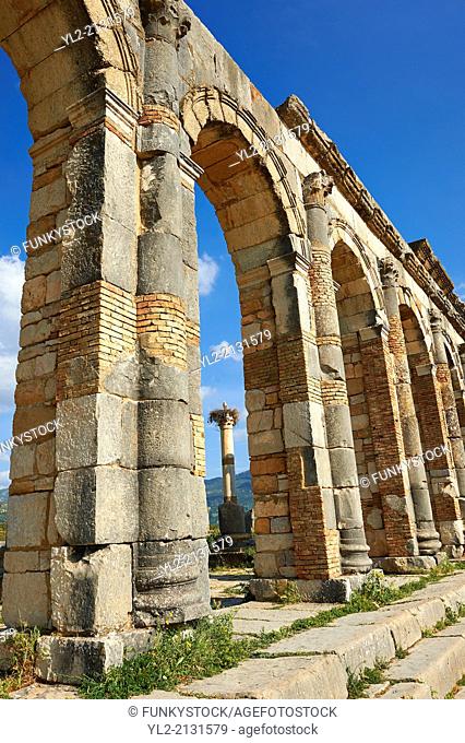 Exterior of the Basilica at Volubilis. Completed during the reign of Macrinus in the early 3rd century, it is one of the finest Roman basilicas in Africa and is...