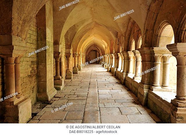 Cloister gallery, Fontenay Abbey (UNESCO World Heritage Site, 1981, 2007), Montbard, Burgundy-Franche-Comte, France, 12th century