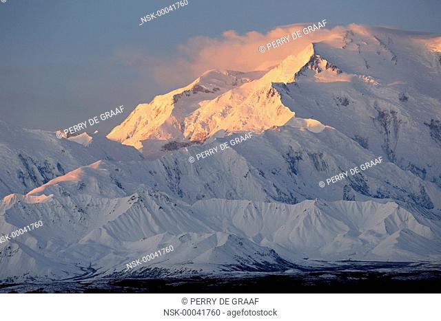 Denali, also known as Mount McKinley, its former official name, is North America's highest mountain at 20, 310 feet or 6, 190 meter, sunrise, USA, Alaska