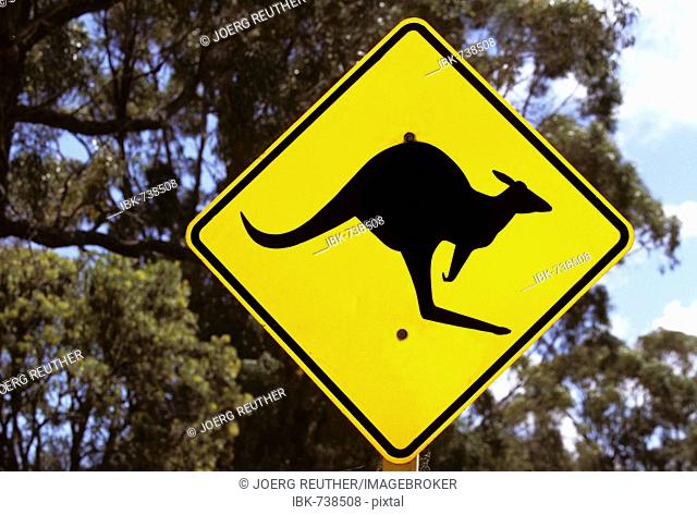 Kangaroo crossing sign, Queensland, Australia
