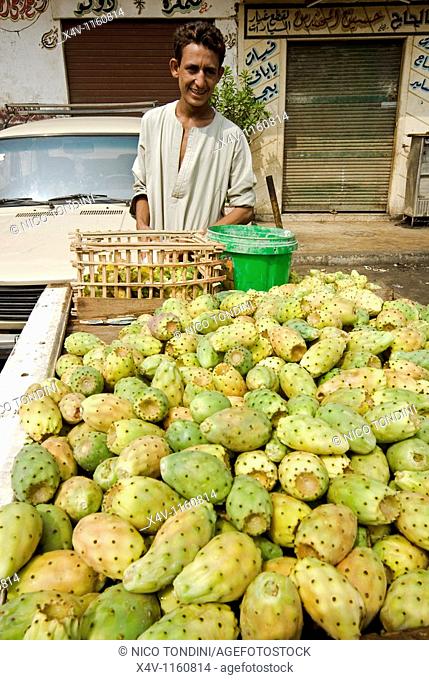 Prickly Pears Seller, Cairo, Egypt, North Africa, Africa