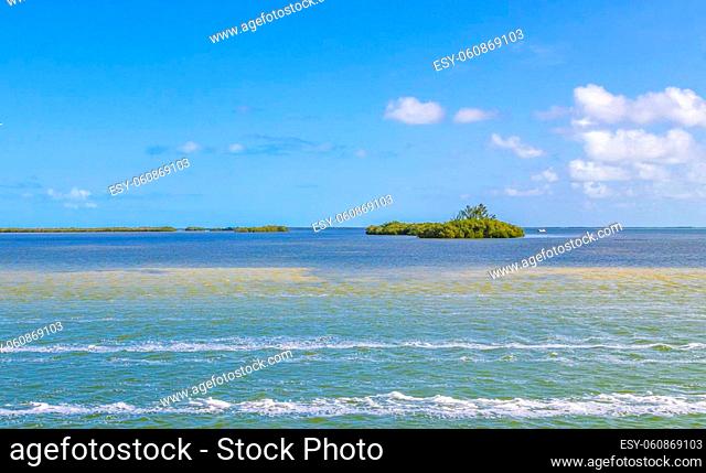 Panorama landscape view on beautiful Holbox island and islands around with nature natural forest and turquoise water in Quintana Roo Mexico