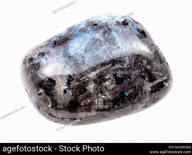 closeup of sample of natural mineral from geological collection - polished Larvikite (norwegian Labradorite) gem stone isolated on white background