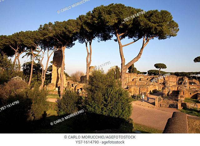 Circus Maximus ruins, Palatine Hill, Rome, Lazio, Italy, Europe