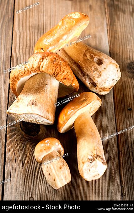 White Mushrooms (cep) on a wooden background
