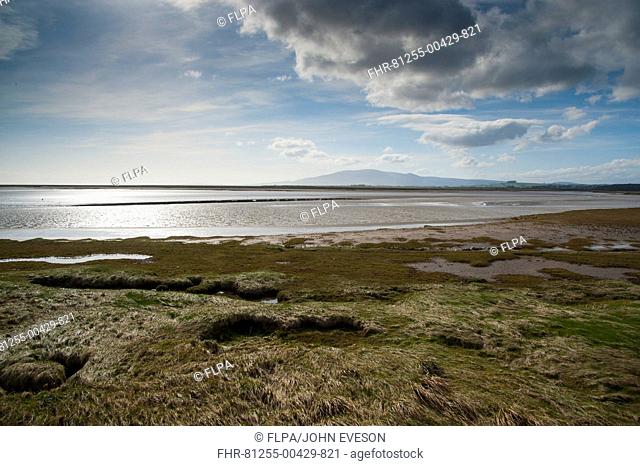View of estuary habitat, Solway Firth, Caerlaverock National Nature Reserve, Ruthwell, Dumfries and Galloway, Scotland, march