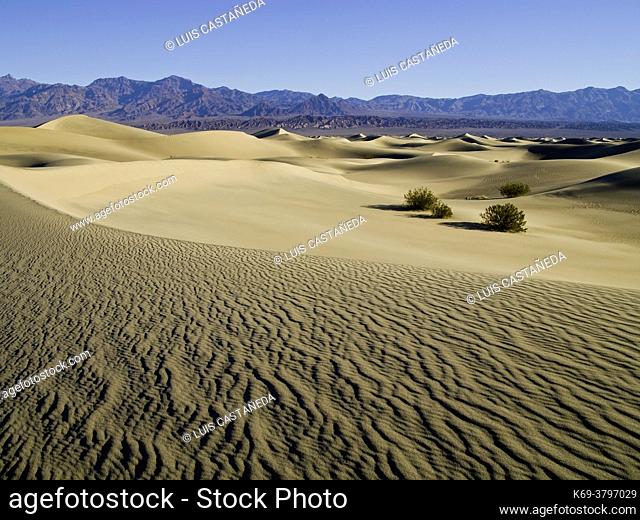 Stovepipe Wells Sand Dunes. . . Death Valley National Park. . California. USA