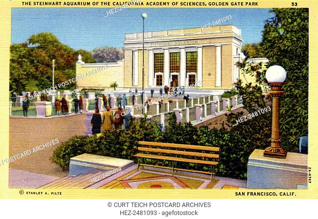 Steinhart Aquarium of the California Academy of Sciences, San Francisco, California, USA, 1932. Vintage linen postcard showing the exterior of the Steinhart...