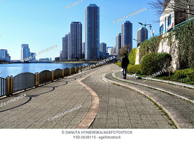 Urban landscape, skyscrapers and promenade on right bank of the Sumida River, Nihonbashi-Hakozaki-cho, Chuo , Chuo-ku, Tokyo, Japan