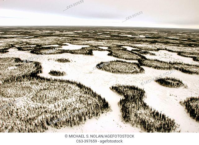Aerial view of the open taiga surrounding Churchill, Manitoba, Canada