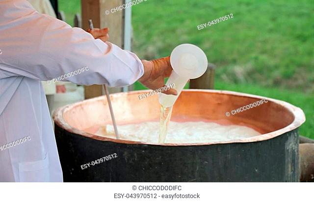 cheesemaker pour rennet into big hot cauldron to produce cheese in the dairy