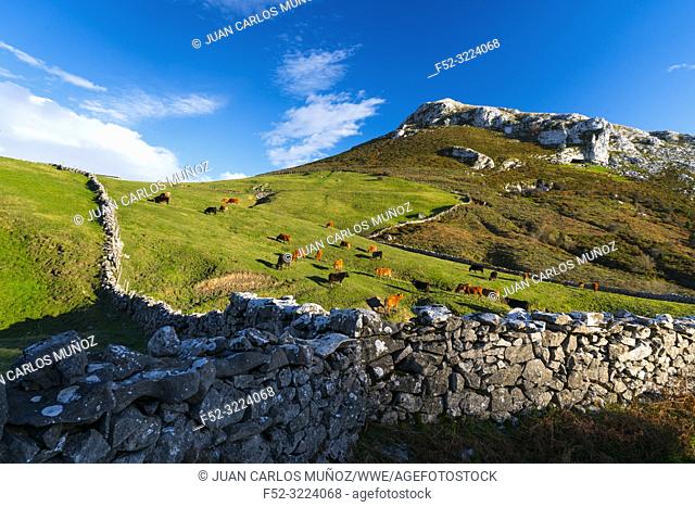 Landscape in Astrana, Soba Valley, Valles Pasiegos, Cantabria, Spain, Europe