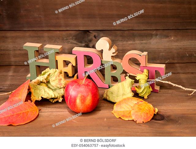 a decoration for autumn with colorful leaves