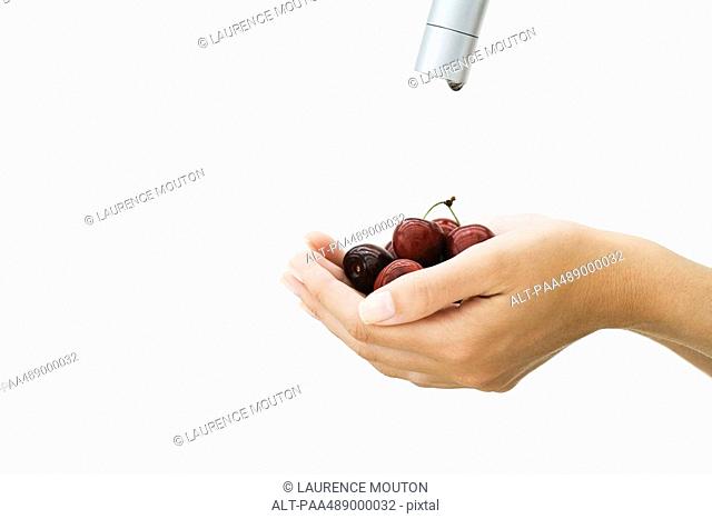 Woman holding handful of cherries under faucet, cropped view of hands