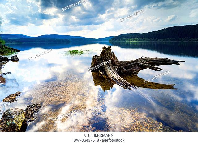 dead tree in the clear water of storage lake Eibenstock with approaching thunder clouds, Germany, Saxony, Talsperre Eibenstock