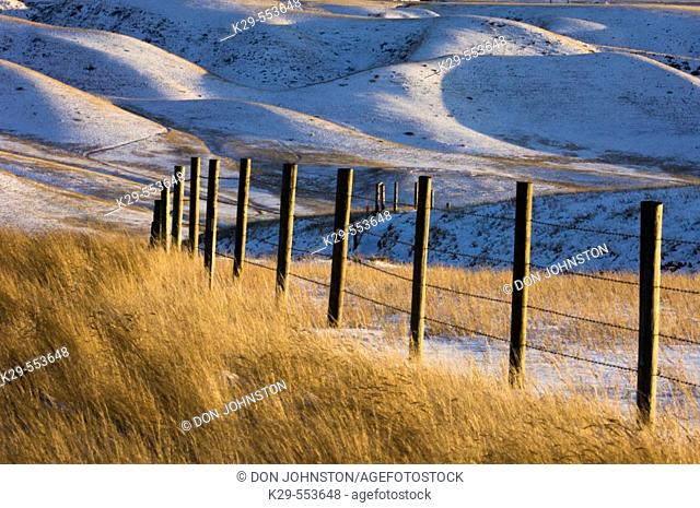 Fenceline overlooking Oldman River Valley with fresh snow. Picture Butte, Alberta, Canada