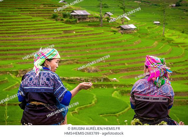 Vietnam, mountain range of Hoang Lien Son, village of Tu Le, green H'mong women embroidering their traditional outfits background of terraced rice paddies