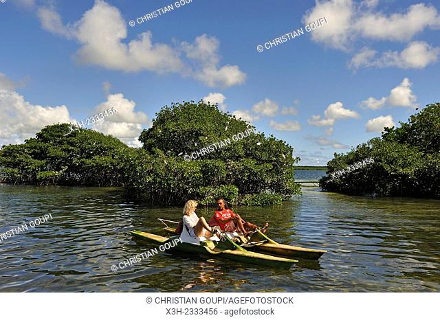 pedalboat trip around the mangrove swamp, Grand Cul-de-sac Marin, Vieux-Bourg, Morne-a-l'eau, Grande-Terre, Guadeloupe, overseas region of France
