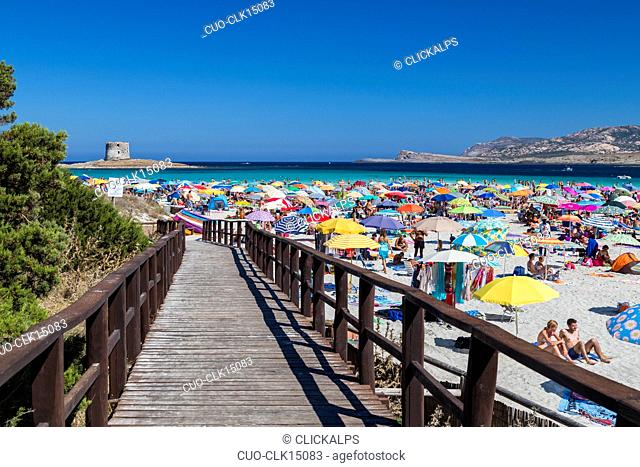 The wooden bridge leads to the turquoise sea Stintino Asinara National Park Province of Sassari Sardinia Italy Europe