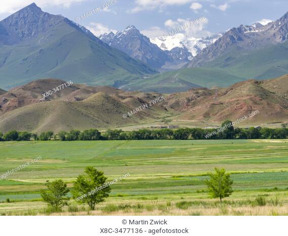 Agriculture near lake Issyk-Kul. Tien Shan mountains or heavenly mountains in Kirghizia. Asia, central Asia, Kyrgyzstan