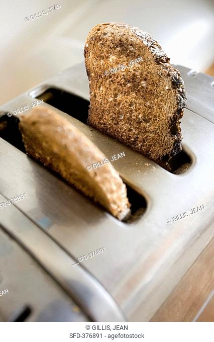 Two slices of wholemeal toast in toaster