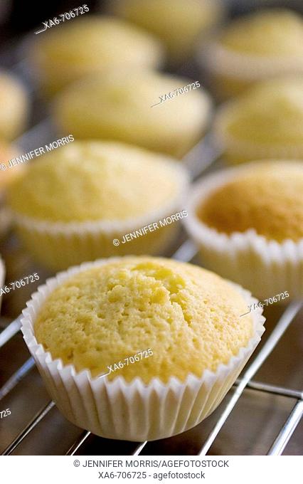 Little golden cupcakes, freshly baked in white cases, sit cooling on a silver rack