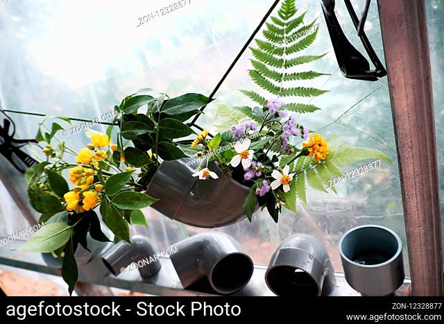 Leisure activities with recycle from waste to make flower vase to decoration home, colorful daisy in water pipe on white background