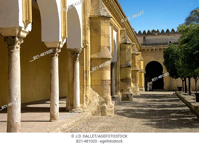 'Patio de los Naranjos' of the Mosque-Cathedral of Cordoba. Spain