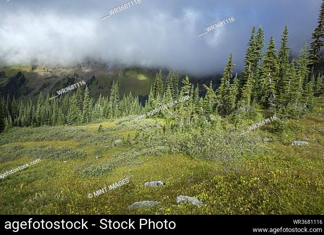 Storm clouds lifting over remote mountain range and alpine meadow, along the Pacific Crest Trail