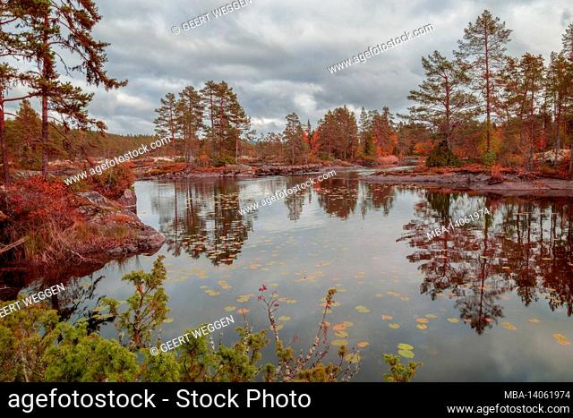 autumn scene with forest, mountain, lake landscape in sweden