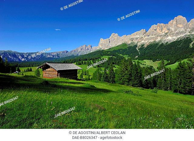 A mountain hut in the meadows between Malga Frommer and Latemar, in the background the Catinaccio Group, Dolomites (UNESCO World Heritage List, 2009)