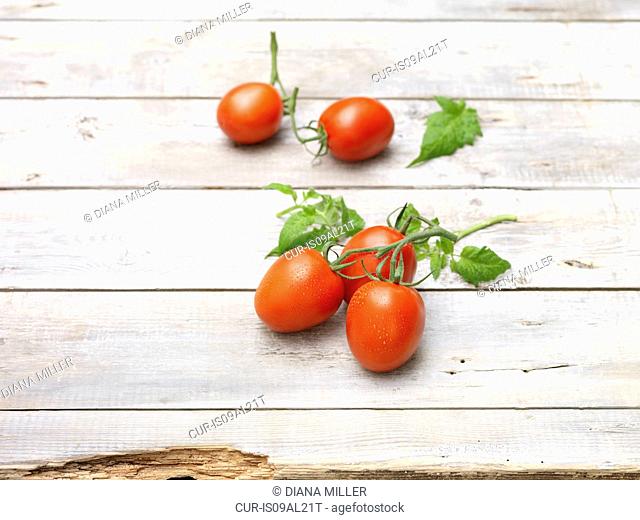 Red juicy sweet vine tomatoes