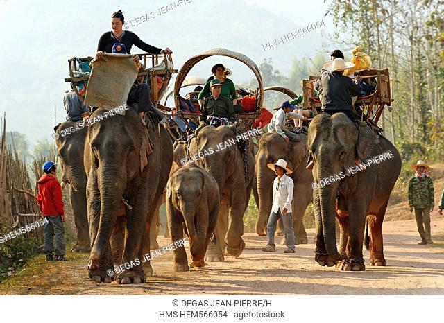 Laos, Sainyabuli Province, Ban Nam Thap, start trek on elephant back in a village