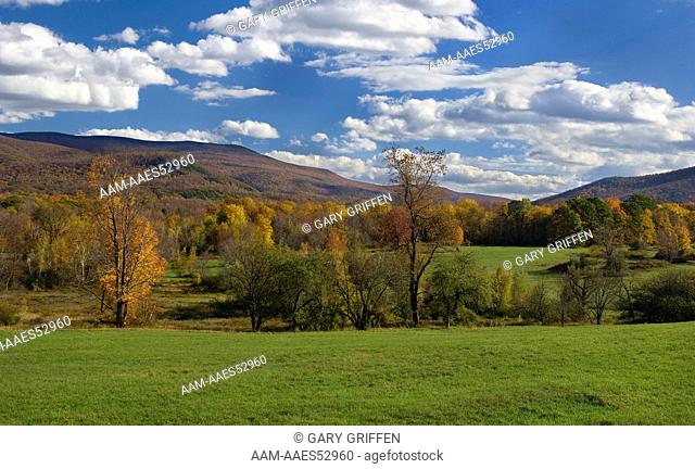 Berkshire Mountains, MA, autumn, (digital image) Massachusetts, scenic