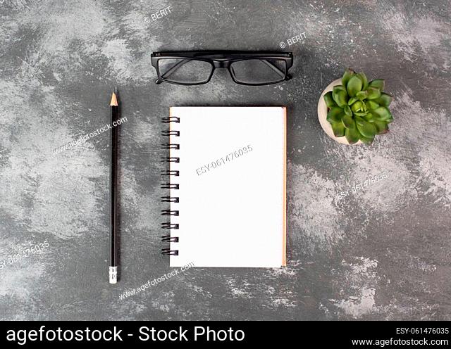 Empty notebook with a pen, eyeglasses and a cactus on a background, brainstorming for new ideas, writing a message, taking a break, home office desk