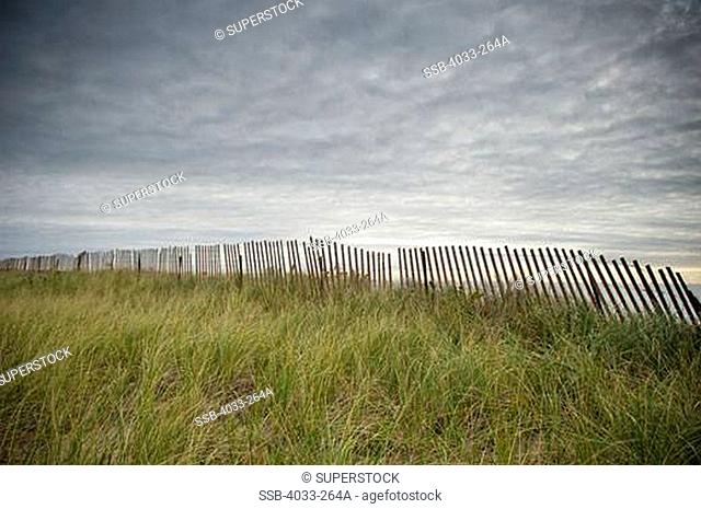 Tall grass and a fence on the beach, Rhode Island, USA