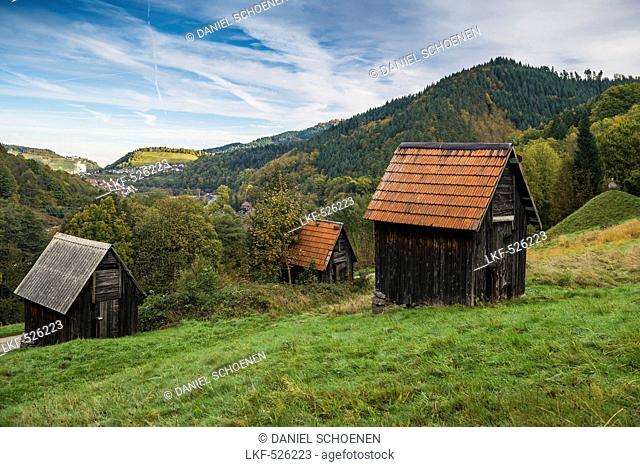 Huts near Gernsbach, Murg valley, district of Rastatt, Black Forest, Baden-Wuerttemberg, Germany