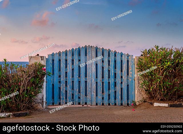 Curved weathered blue wooden garden gate with green bushes at both sides and partly cloudy sky at sunrise time at Montaza public park, Alexandria, Egypt