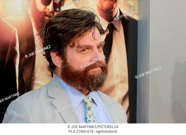 Zach Galifianakis at the Premiere of Warner Bros. Pictures' The Hangover Part III (3). Arrivals held at Westwood Village Theater in Westwood, CA, May 20, 2013