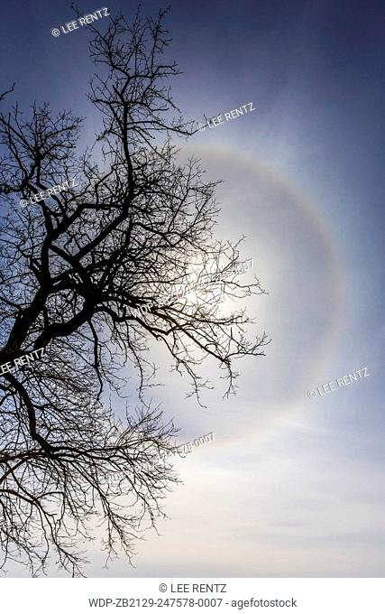 22Â° Halo in the atmosphere created when light from the sun is refracted through randomly oriented hexagonal ice crystals in cirrus clouds