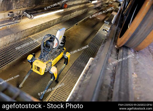 20 September 2023, Hesse, Bischofsheim: Robot dog ""Spot"" for digital maintenance of freight cars is presented at a press event at the freight station