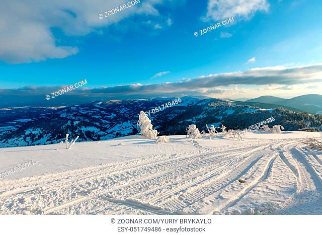 Winter evening calm mountain landscape with beautiful frosting trees, footpath and ski track through snowdrifts on mountain slope (Carpathian Mountains