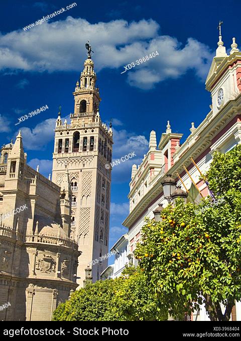 la Giralda, a bell tower on top of a former minaret, Seville, Andalusia, Spain