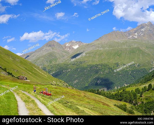 Agriculture near hamlet Rofenhoefe in the Oetztal Alps in the Nature Park Oetztal. The Rofenhoefe are the highest farms in Austria